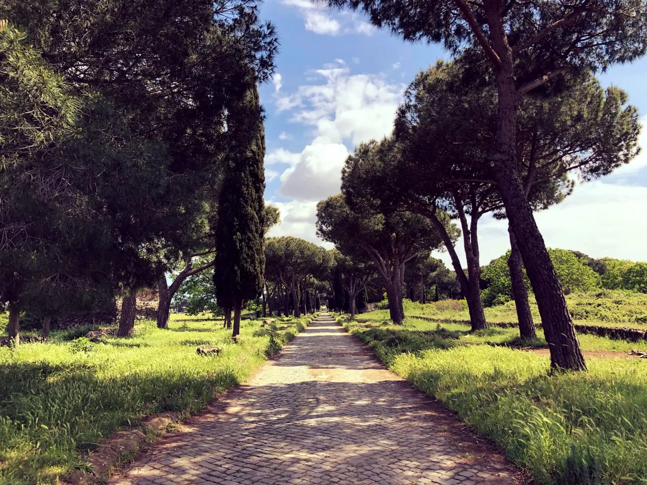 The Appian Way lined with umbrella pines, Rome